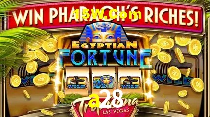 Live Casino a28